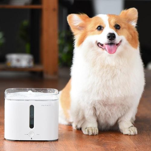 宠物饮水机质检报告办理多少钱? 