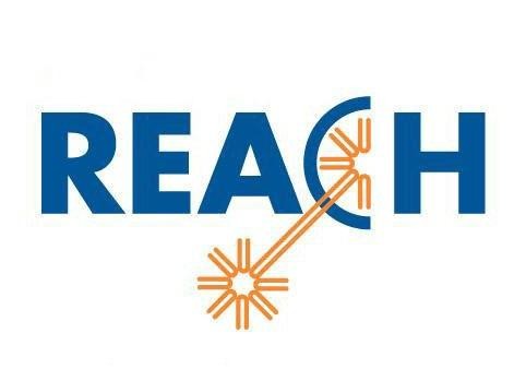 智能垃圾桶REACH检测的具体流程 
